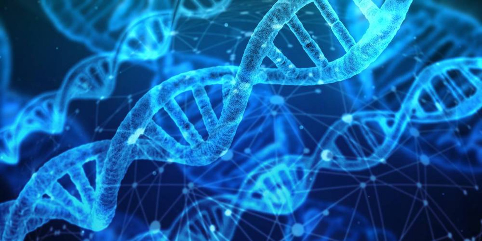 生物技术研发:驱动二十一世纪生物产业升级的核心引擎
