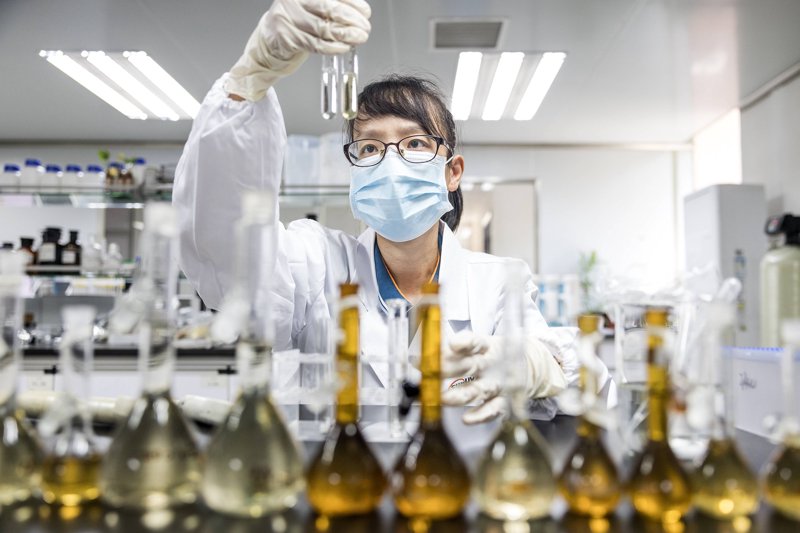 生物技术研发:从实验室突破到产业落地的完整路径解析